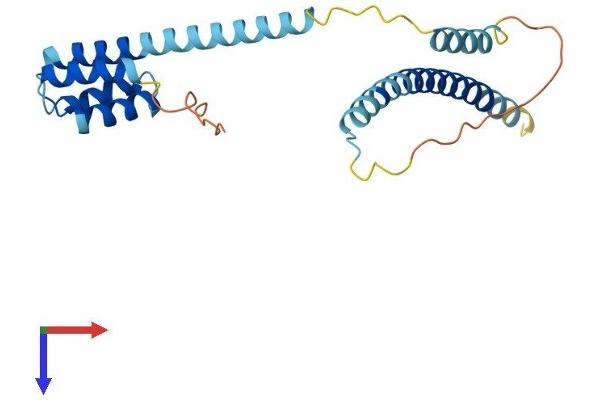 CCDC43 Protein (AA 1-222) (His tag)