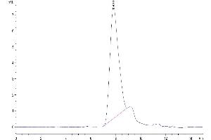 Size-exclusion chromatography-High Pressure Liquid Chromatography (SEC-HPLC) image for CD34 (CD34) (AA 35-287) protein (His tag) (ABIN7274168)