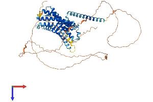 GPR50 Protein (AA 1-617) (His tag)