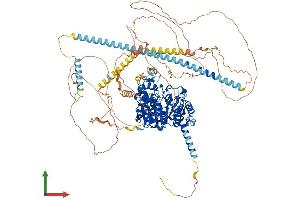 Protein Structure (PS) image for Histone Deacetylase 4 (HDAC4) (AA 1-1076) protein (His tag) (ABIN7564072)