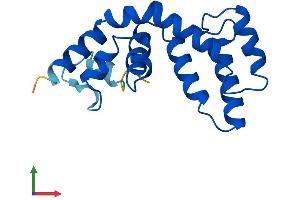 Protein Structure (PS) image for Regulator of G-Protein Signaling 13 (RGS13) (AA 1-159) protein (His tag) (ABIN7551396)