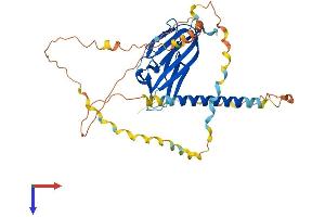 Ectodysplasin A Protein (EDA) (AA 1-391) (His tag)
