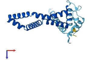 ARL6IP5 Protein (AA 1-188) (His tag)