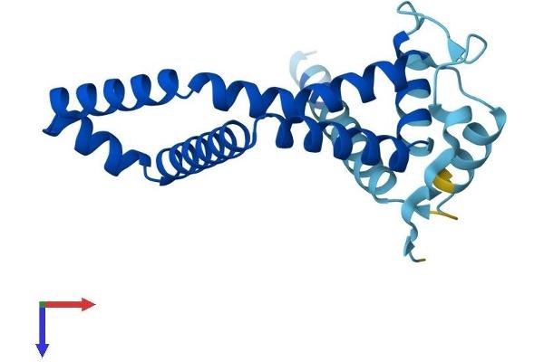 ARL6IP5 Protein (AA 1-188) (His tag)
