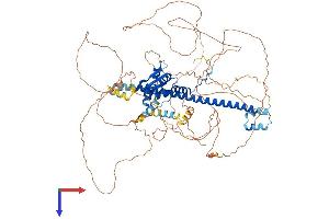BACH2 Protein (AA 1-839) (His tag)