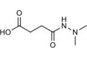 Molecule (M) image for Daminozide (ABIN7233247)