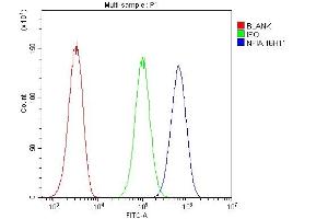Flow Cytometry analysis of U20S cells using anti- NFIA antibody (ABIN6719349). (NFIA Antikörper  (Middle Region))