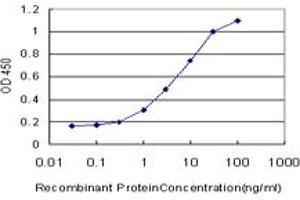 Detection limit for recombinant GST tagged GRK6 is approximately 0. (GRK6 Antikörper  (AA 71-170))