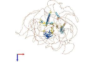 AlphaFold protein structure predicition of Mouse Recombinant Cep170 Protein, UniprotID Q6A065