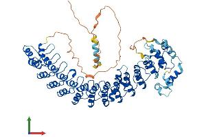 AlphaFold protein structure predicition of Mouse Recombinant Asb2 Protein, UniprotID Q8K0L0