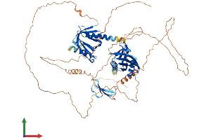 Protein Structure (PS) image for Amyloid beta (A4) Precursor Protein-Binding, Family B, Member 1 (Fe65) (APBB1) (AA 1-710) protein (His tag) (ABIN7565148)