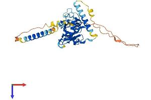 UBE2J1 Protein (AA 1-318) (His tag)