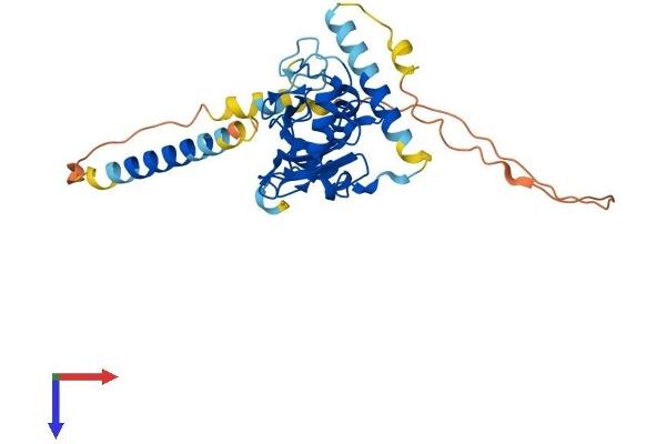 UBE2J1 Protein (AA 1-318) (His tag)