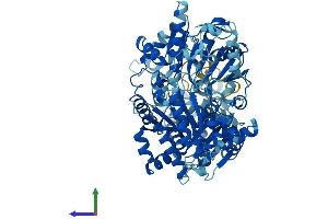 AlphaFold protein structure predicition of Mouse Recombinant Ercc2 Protein, UniprotID O08811 (ERCC2 Protein (AA 1-760) (His tag))