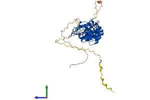 Protein Structure (PS) image for NF-kappa-B inhibitor beta (NFKBIB) (AA 1-359) protein (His tag) (ABIN7557613)