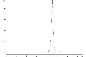 Size-exclusion chromatography-High Pressure Liquid Chromatography (SEC-HPLC) image for Myeloproliferative Leukemia Virus Oncogene (MPL) (AA 26-482) protein (His tag) (ABIN7275277)