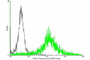 FACS analysis of negative control 293 cells (Black) and EVI2A expressing 293 cells (Green) using EVI2A purified MaxPab mouse polyclonal antibody. (EVI2A Antikörper  (AA 25-236))