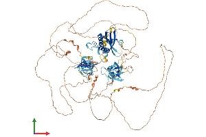 Protein Structure (PS) image for SH3 and PX Domains 2B (SH3PXD2B) (AA 1-908) protein (His tag) (ABIN7561885)