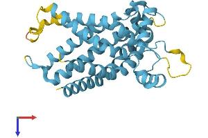 SLC25A45 Protein (AA 1-288) (His tag)