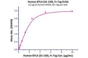 Immobilized Human HVEM, His Tag (Cat # HVM-H52E9) at 5 μg/mL (100 μL/well) can bind Human BTLA (31-150), Fc Tag (Cat # BTA-H5256) with a linear range of 0. (HVEM Protein (AA 39-202) (His tag))