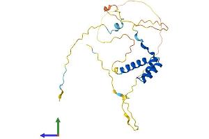 Protein Structure (PS) image for Intestine-Specific Homeobox (ISX) (AA 1-240) protein (His tag) (ABIN7561852)