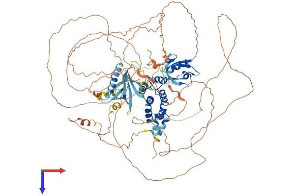 RGS3 Protein (AA 1-966) (His tag)