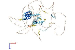 CKAP2 Protein (AA 1-664) (His tag)