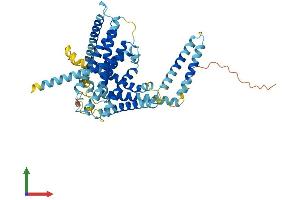 Protein Structure (PS) image for Limb Region 1 Homolog (LMBR1) (AA 1-490) protein (His tag) (ABIN7549074)