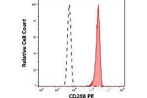 Flow Cytometry (FACS) image for anti-Tumor Necrosis Factor Receptor Superfamily, Member 13C (TNFRSF13C) antibody (PE) (ABIN7013981)
