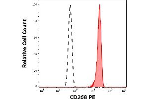 Separation of human CD268 positive lymphocytes (red-filled) from neutrophil granulocytes (black-dashed) in flow cytometry analysis (surface staining) of human peripheral whole blood stained using anti-human CD268 (11C1) PE antibody (10 μL reagent / 100 μL of peripheral whole blood). (TNFRSF13C Antikörper  (PE))