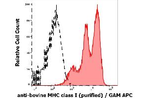Separation of bovine lymphocytes stained using anti-bovine MHC Class I (IVA26) purified antibody (concentration in sample 10 μg/mL, GAM APC, red-filled) from bovine lymphocytes unstained by primary antibody (GAM APC, black-dashed) in flow cytometry analysis (surface staining). (MHC Class I (Alpha+beta2m Chains) Antikörper)