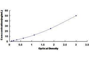 ELISA image for Lectin, Galactoside-Binding, Soluble, 1 (LGALS1) ELISA Kit (ABIN415755)