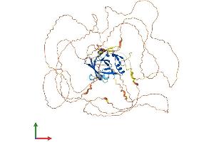 Ataxin 1 Protein (ATXN1) (AA 1-791) (His tag)