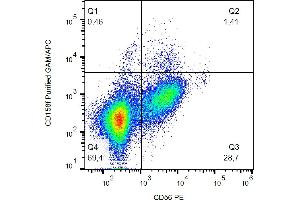Flow Cytometry (FACS) image for anti-Killer Cell Immunoglobulin-Like Receptor, Two Domains, Long Cytoplasmic Tail, 5A (KIR2DL5A) antibody (ABIN2749214)