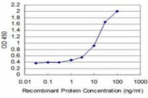Detection limit for recombinant GST tagged TESK2 is approximately 0. (TESK2 Antikörper  (AA 405-542))