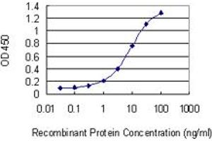 Detection limit for recombinant GST tagged NPAS4 is 0. (NPAS4 Antikörper  (AA 704-802))