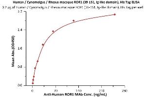 Immobilized Human / Cynomolgus / Rhesus macaque ROR1 (39-151, Ig-like domain), His Tag (ABIN2870694,ABIN2870695) at 2 μg/mL (100 μL/well) can bind A ROR1 MAb with a linear range of 1-31 ng/mL (QC tested). (ROR1 Protein (AA 39-151) (His tag))