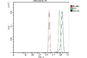 Flow Cytometry analysis of U20S cells using anti-Rab9/RAB9A antibody (ABIN3044539). (RAB9A Antikörper  (C-Term))