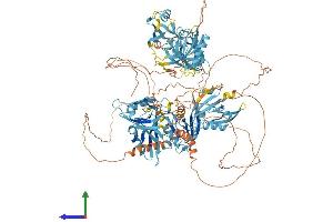 Protein Structure (PS) image for Glutamate Receptor Interacting Protein 1 (GRIP1) (AA 1-1128) protein (His tag) (ABIN7554038)
