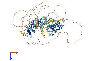 ZFYVE28 Protein (AA 1-887) (His tag)