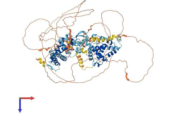 ZFYVE28 Protein (AA 1-887) (His tag)