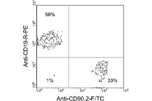 Flow Cytometry (FACS) image for anti-CD90 (THY1) antibody (FITC) (ABIN371030)