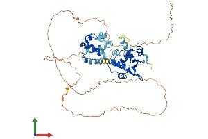Protein Structure (PS) image for V-Ets erythroblastosis Virus E26 Oncogene Homolog 1 (Avian) (ETS1) (AA 1-440) protein (His tag) (ABIN7563024)