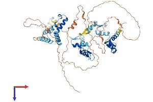 ZNF394 Protein (AA 1-561) (His tag)