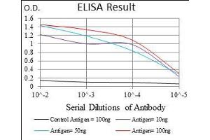 Black line: Control Antigen (100 ng), Purple line: Antigen(10 ng), Blue line: Antigen (50 ng), Red line: Antigen (100 ng), (Osteoactivin Antikörper  (AA 31-260))