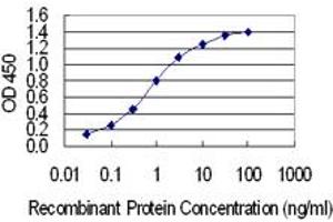 Detection limit for recombinant GST tagged IRX1 is 0. (IRX1 Antikörper  (AA 424-479))