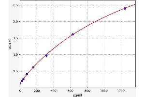 CD40 (CD40) ELISA Kit