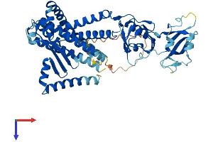 MBTPS2 Protein (AA 1-515) (His tag)
