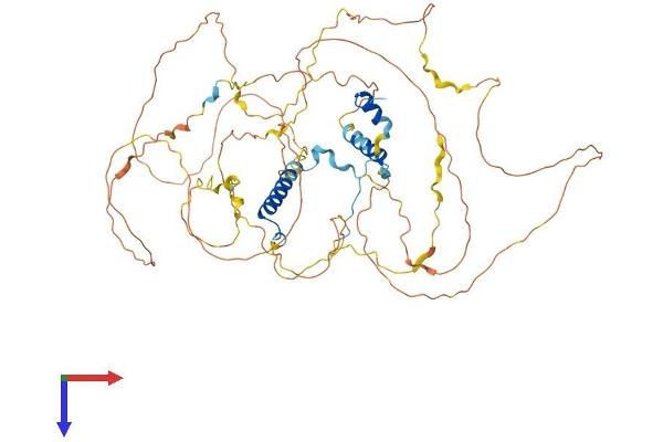C1orf116 Protein (AA 1-606) (His tag)