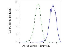 Validation of ZEB1 knockdown using flow cytometry. (Rekombinanter ZEB1 Antikörper)